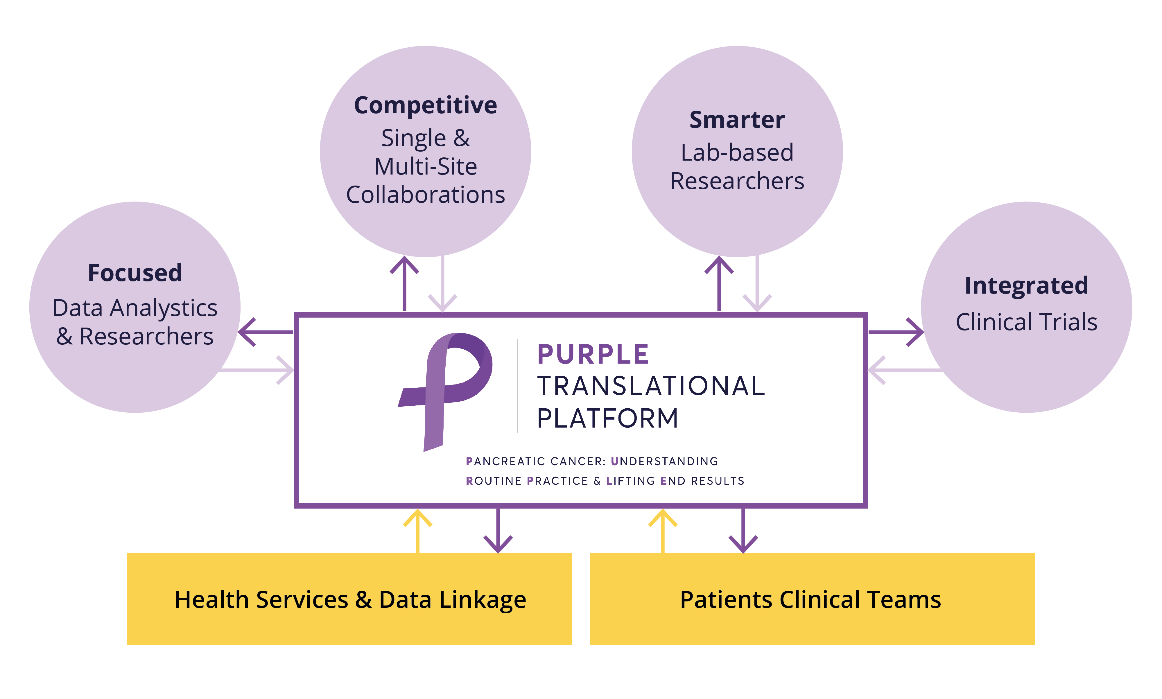 Purple Translational Registry - News - Welcome to PURPLE website